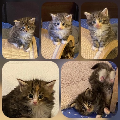 83e9836d-ca38-43c3-824e-7e79d616d86e